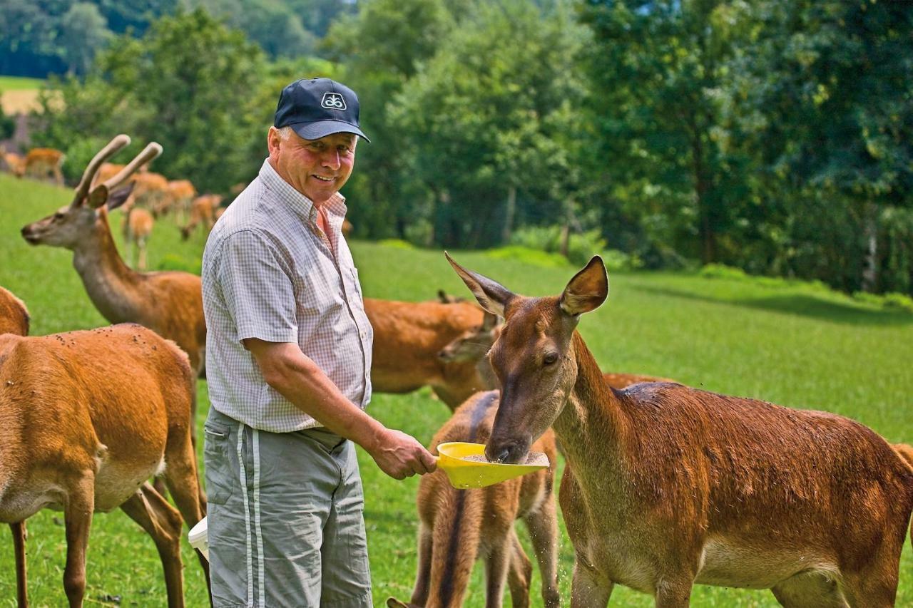 Gaestezimmer Buchegger Krumbach  Ngoại thất bức ảnh